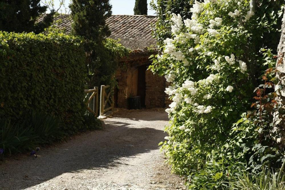 Masia Cal Millas - Turisme Rural Castellfullit de Riubregos Eksteriør billede